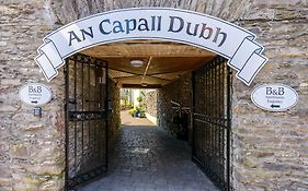 An Capall Dubh B&B Dingle